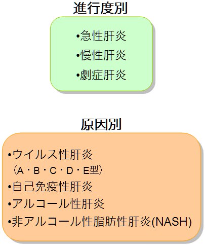 肝臓 病気 種類 肝炎の種類