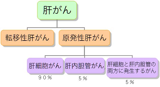 肝臓 病気 種類 肝がんの種類