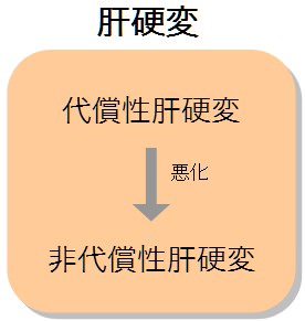 肝臓 病気 種類 肝硬変の種類