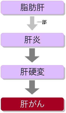 肝臓 病気 種類と進行