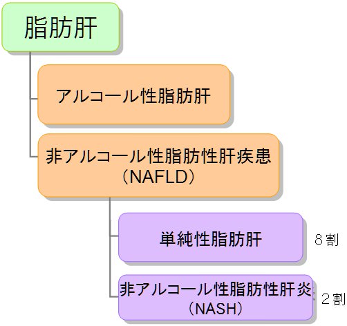 肝臓 病気 種類 脂肪肝の種類