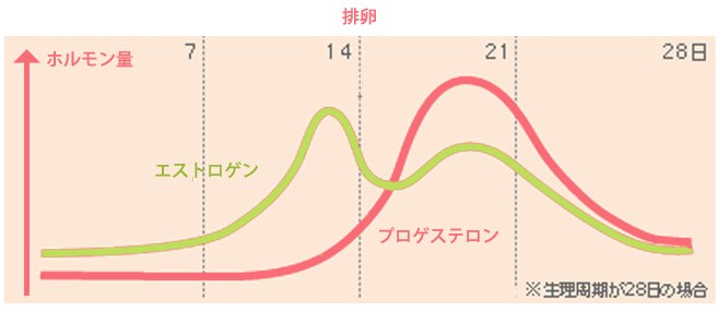 エストロゲンとプロゲステロンの毎月の変動のグラフ