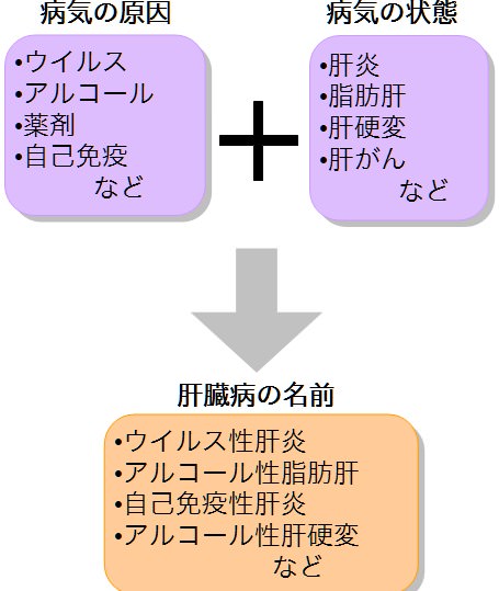 肝臓 病気 種類 名前