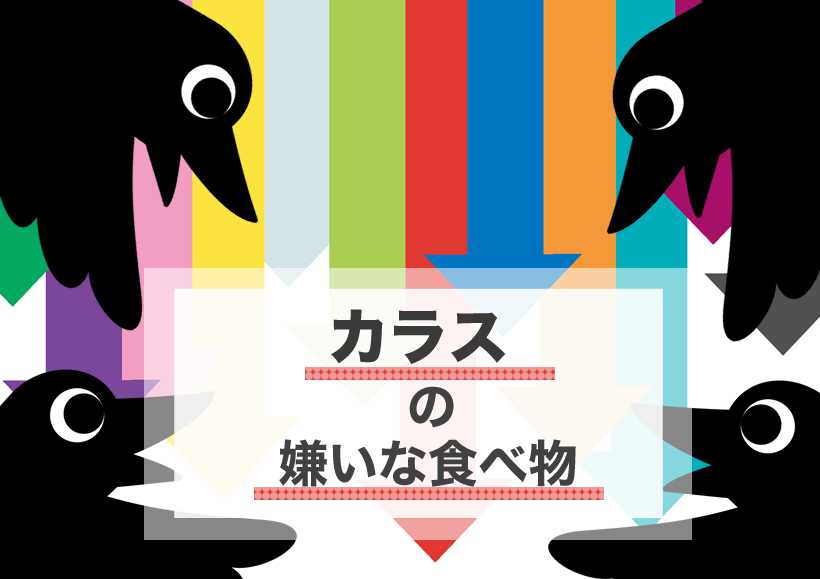 カラス 嫌い な 食べ物