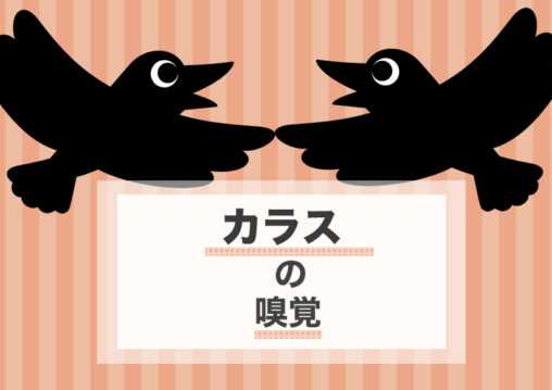 カラス 嗅覚