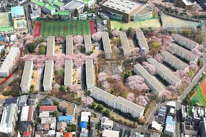 マンション 建て替え 事例 桜上水団地