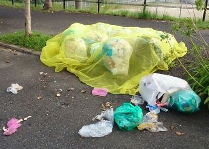 ゴミのカラス対策 ネットの隙間から荒らされる