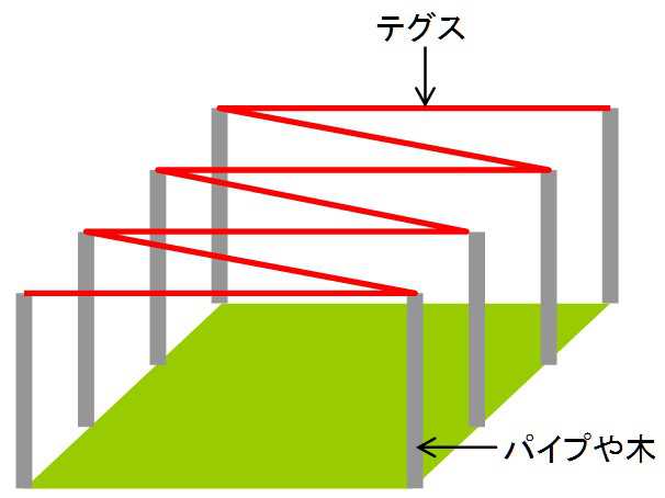 畑のカラス対策 テグスの張り方