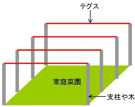 家庭菜園のカラス対策 テグス