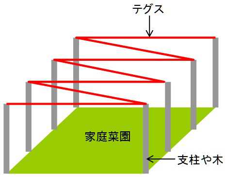家庭菜園のカラス対策 テグス