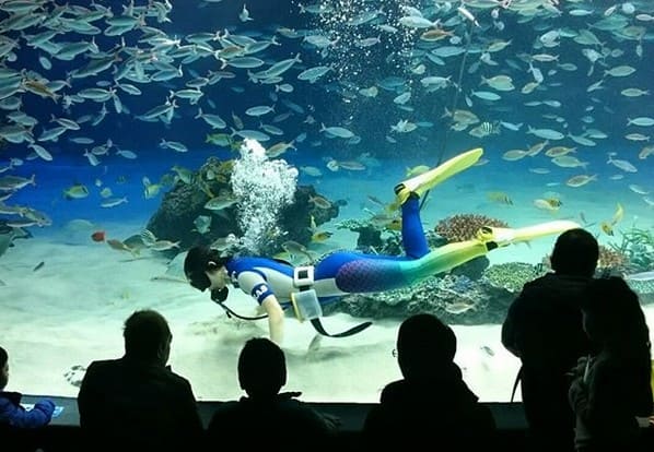 サンシャイン水族館