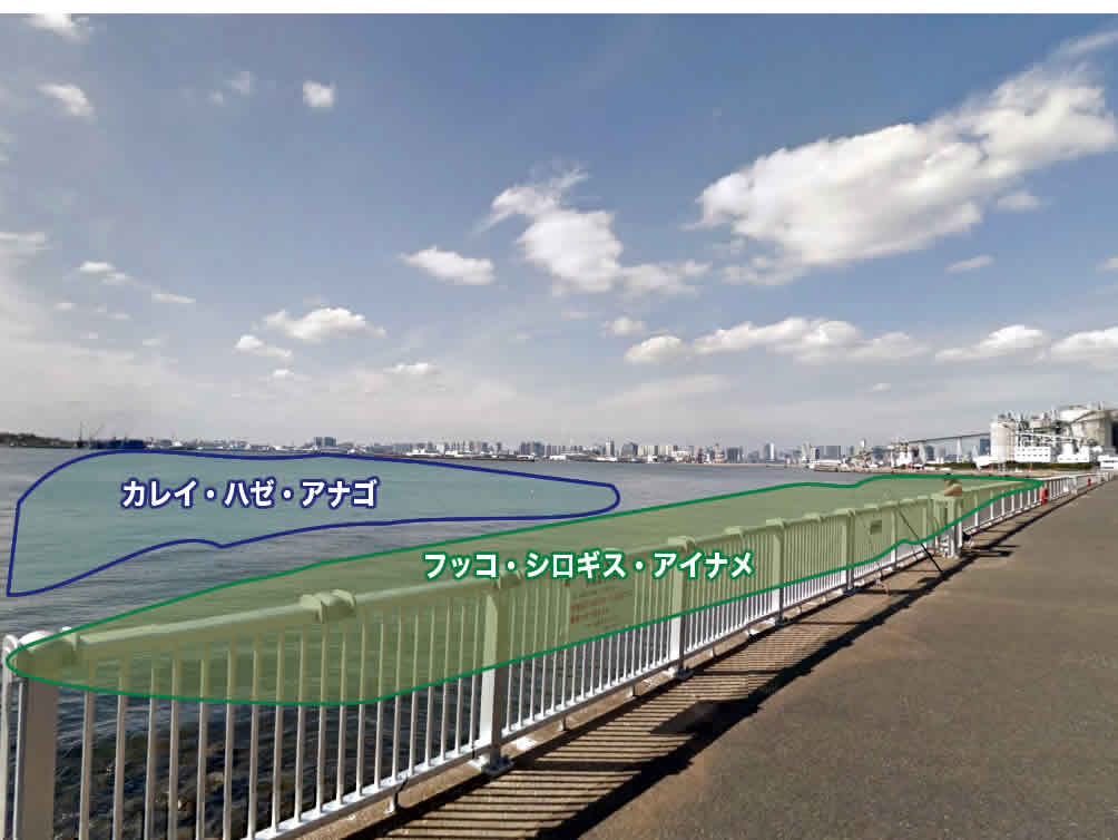 若洲海浜公園 釣り 釣果 ポイント2